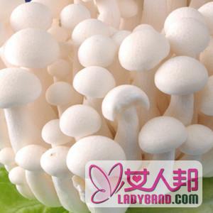 【白玉菇的营养价值】白玉菇的家常做法_白玉菇的保鲜方法