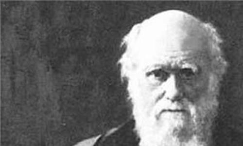 达尔文适者生存 达尔文为何后悔发表“适者生存”论?
