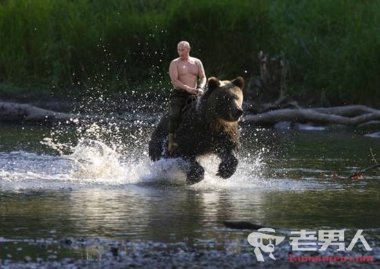 普京回应骑熊照：没骑过熊，但照片确实存在