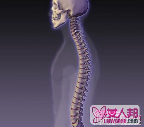 人体脊柱有多少块骨头？ 关于人体脊柱的你了解多少