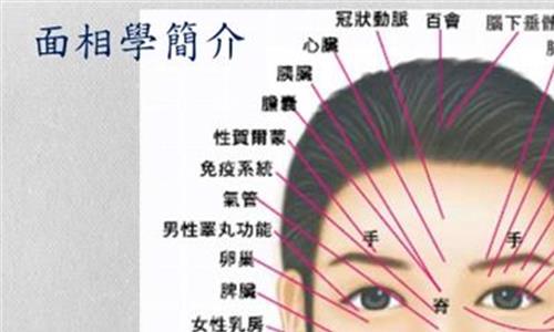 >面相看财运 面相:鼻子这4种形态 看出你婚姻和财运问题