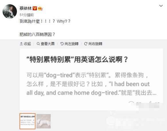 蔡依林幽默解释爱犬躺在地上原因 网友：长知识了