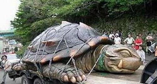 >【两千年前古墓挖出神龟】乌龟真的能够活千年吗