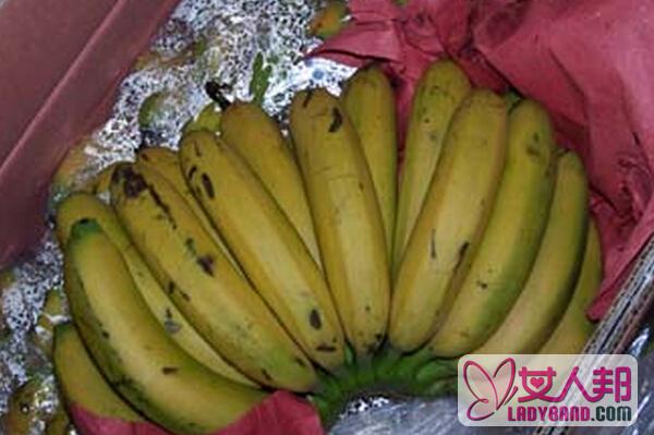 >如何辨别催熟香蕉 催熟香蕉的特征有哪些
