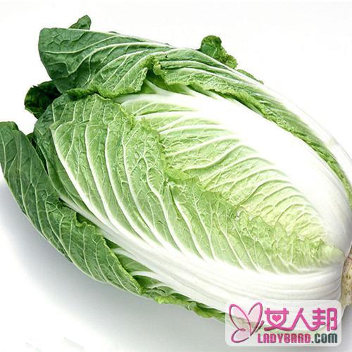 >白菜的功效与作用及食用方法_白菜的营养价值