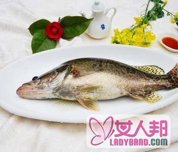 >【臭桂鱼】臭桂鱼的腌制方法_臭桂鱼的营养价值