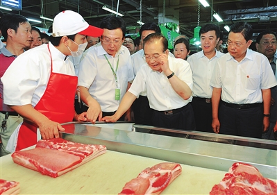 彭小枫回镇平 “这块土地是我的根!”彭小枫回乡考察速记