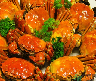 >九月份吃什么螃蟹？哪些螃蟹不能吃？