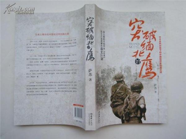 >萨苏的作品 萨苏谈新作《突破缅北的鹰》:中国人回家的故事