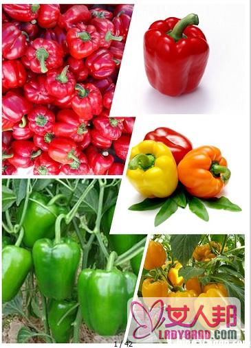 >菜椒的营养价值和食用价值