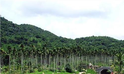 热带雨林的物种 海南热带雨林国家公园范围确定 涉及9个市县