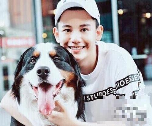 老男孩萧晗的狗是什么品种 同款狗狗多少钱一只？