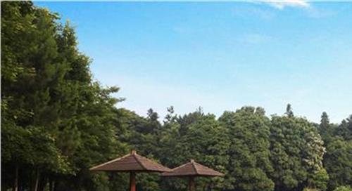 >国家森林公园 达尔滨湖国家森林公园暑期大自然课堂开课