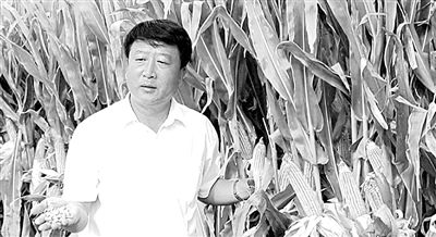 李登海的成就 民族种业产业化的先行者——记中国紧凑型杂交玉米育成者李登海