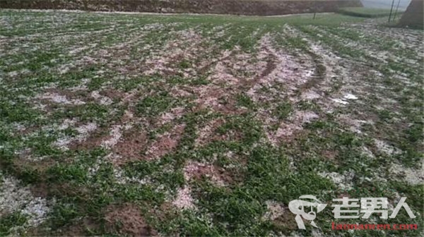 甘肃遭受冰雹袭击 厚度超5厘米致农田受损严重