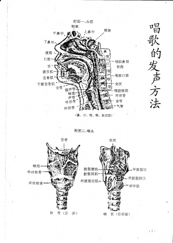>赵登营发声练习 怎样练习唱歌发声
