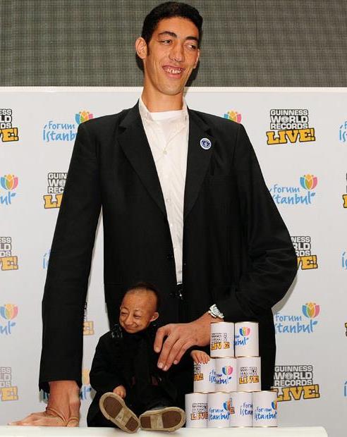 >世界身高最高的人^^中国最矮的人