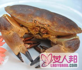 >【面包蟹的做法】面包蟹的营养_面包蟹是什么蟹