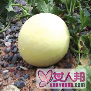 >【酿白兰瓜】酿白兰瓜的做法_酿白兰瓜的热量