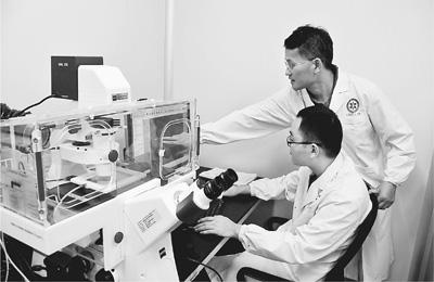 裴端卿的孩子 裴端卿带领团队在干细胞研究领域取得多个领先的重大发现