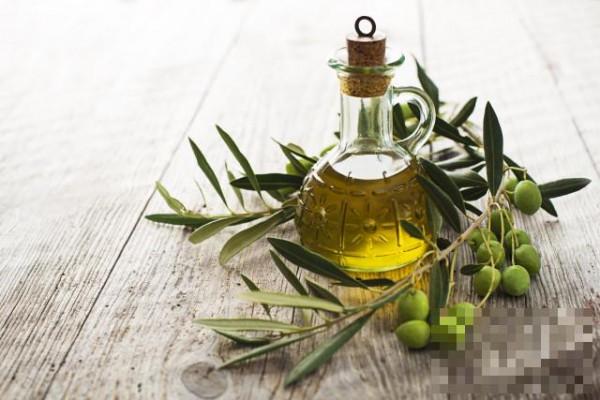 >特级初榨橄榄油可以护肤吗 你一定要了解的保养知识