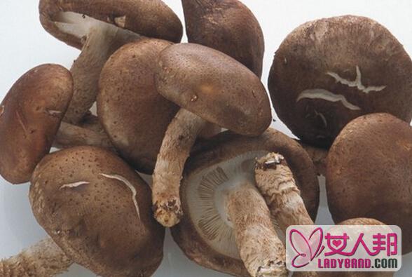 新鲜香菇怎么保存 新鲜香菇的保存方法