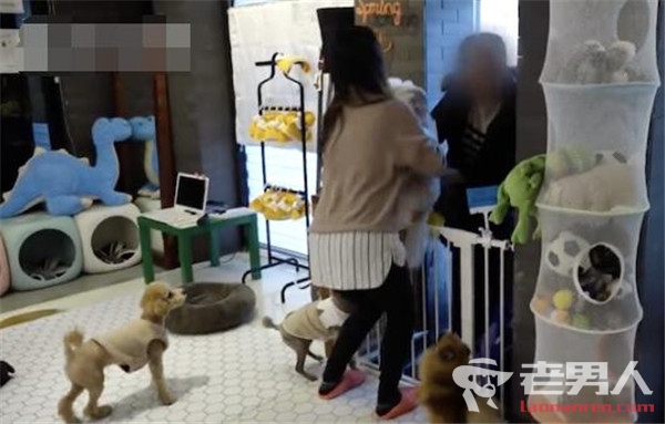 韩国开设宠物幼儿园 费用为每月2000-3000元