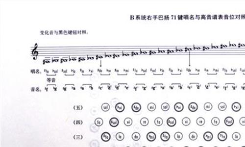 手风琴什么牌子好 碑林区艺考手风琴特价学习品牌