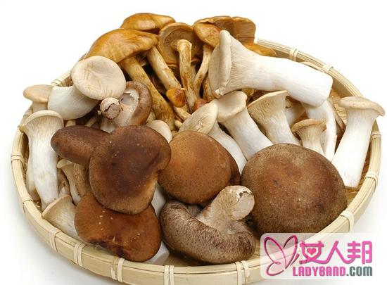 什么蘑菇不能吃 如何分辨蘑菇是否有毒