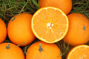 青见柑橘好吃吗？青见柑橘酸吗