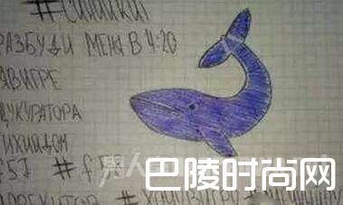 蓝鲸死亡游戏潜入中国 中国捕鲸计划在行动