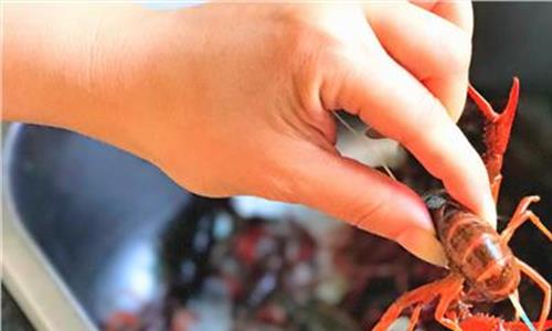 小龙虾的吃法剥法图解 吃小龙虾引起横纹肌溶解症?这个不一定是谣言