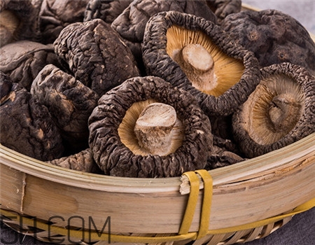 蘑菇的营养价值_蘑菇的功效与作用及食用方法