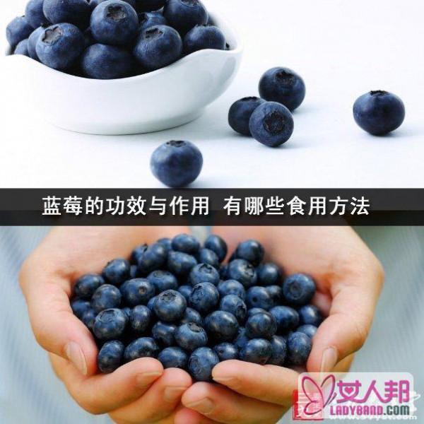 蓝莓的功效与作用 有哪些食用方法