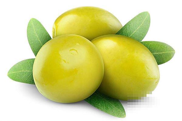 >橄榄油如何护发 橄榄油护发的方法介绍！推荐分类