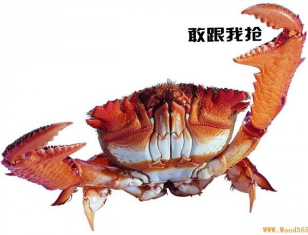 韩帅汽车 【泉州创客】韩帅:泉州共享汽车创业“第一个吃螃蟹的人”