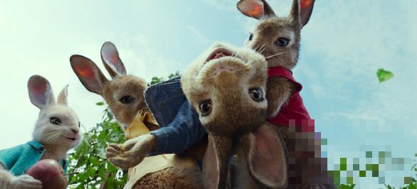 >《比得兔》曝全新国际版预告 兔子家族为抢农场“不择手段”