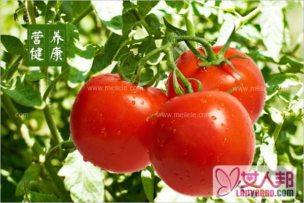 西红柿的营养价值与功效 西红柿怎么吃营养