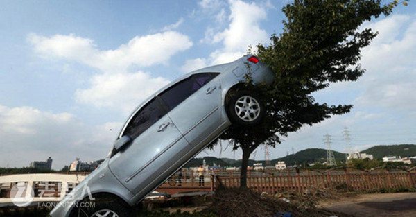 >韩国遭台风袭击汽车被掀上树 现场一片狼藉
