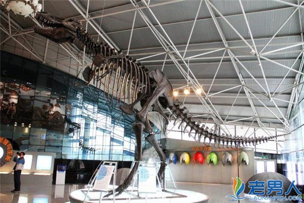 >盘点中国十大著名大灭绝后的恐龙化石