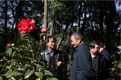 普朝柱与和志强 云南省原省长和志强同志参观昆明植物园