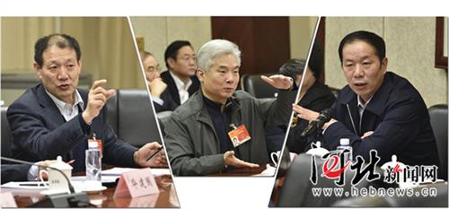 杨崇勇审查报告 河北代表团审议政府工作报告并审查计划报告和预算报告
