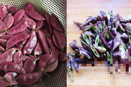 >紫扁豆角的做法大全 这几道食谱简单又美味