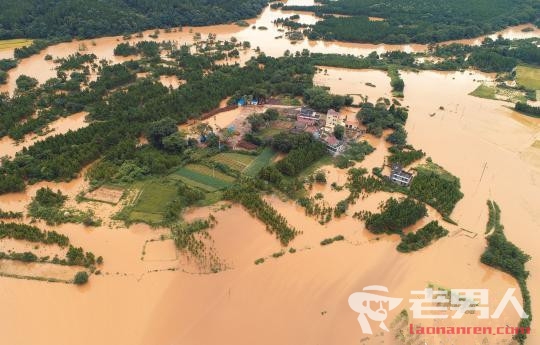 >江西泰和遭受暴雨侵袭 大片房屋被洪水淹没