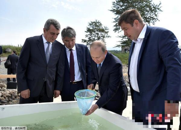 俄总统普京参观贝加尔湖水库 捞小鱼细细查看