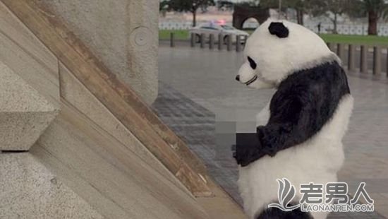 央视公益广告被撤 熊猫在澳洲做不文明行为(图)