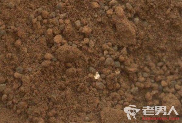 火星土可制砖头 火星土壤制成砖头制作过程曝光