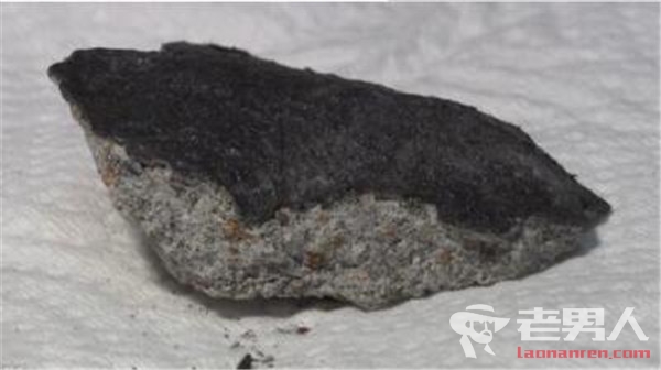 45亿年陨石从天降 进行名为“小牧陨石”的注册程序