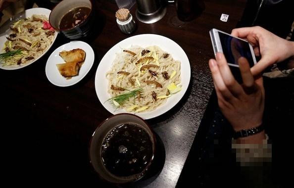 太可怕！日本重口味昆虫拉面成爆款，食客：闭上眼睛就像吃虾