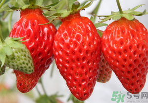 月经可以吃草莓吗?来月经能吃草莓吗?